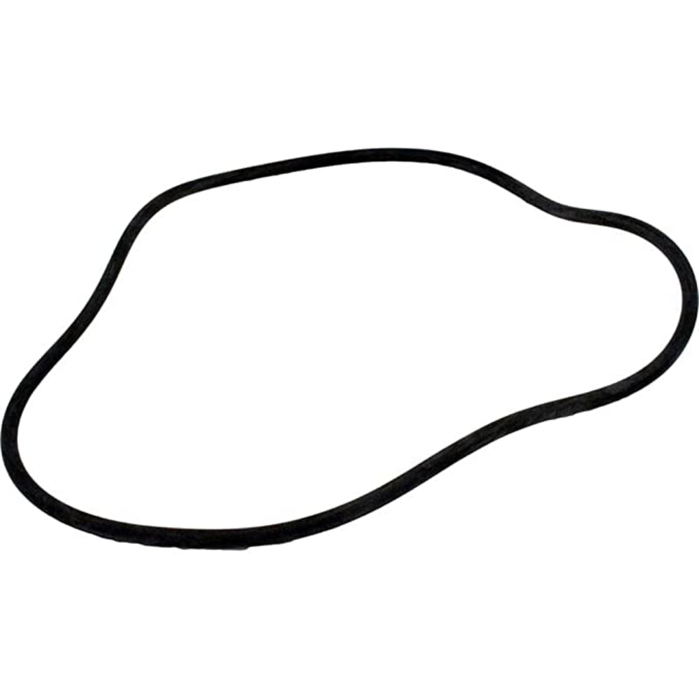 Aladdin Hayward Filter Tank O-Ring | O-429-2