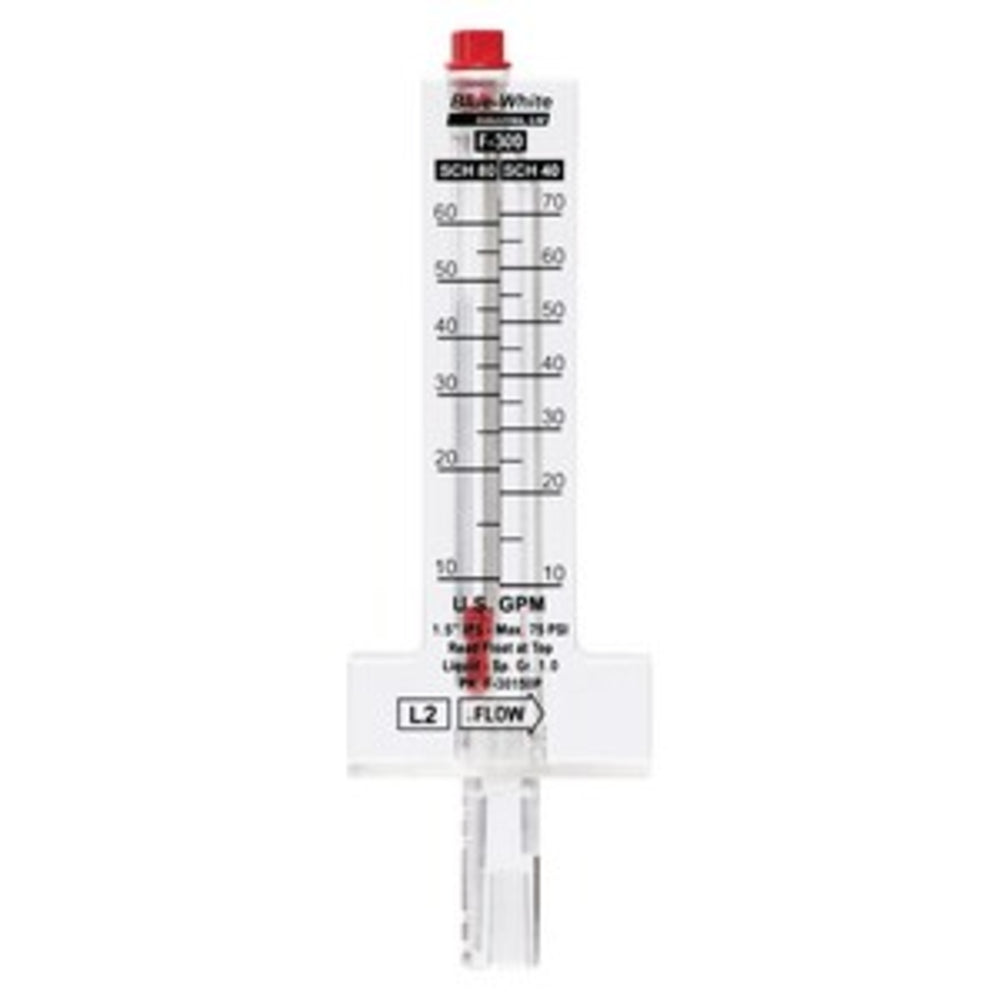 Flowmeter | F30800P