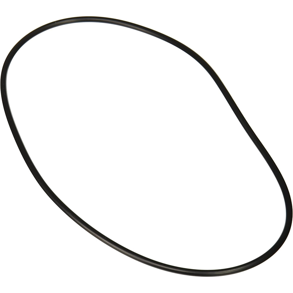 Jandy Pro Series Backplate O-Ring | R0446300