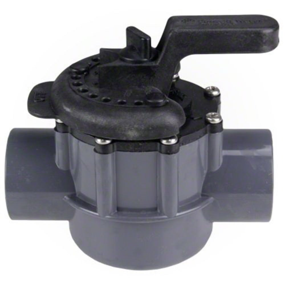 Pentair 1-1/2 2-Way Compool PVC Valve | 263038" 3