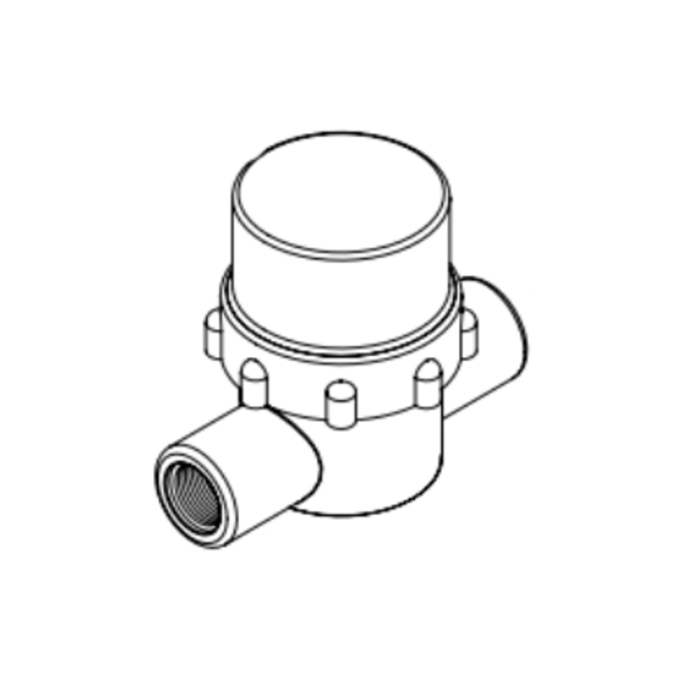 Pentair Strainer Flt Inline .25 Fnpt | 522010Z