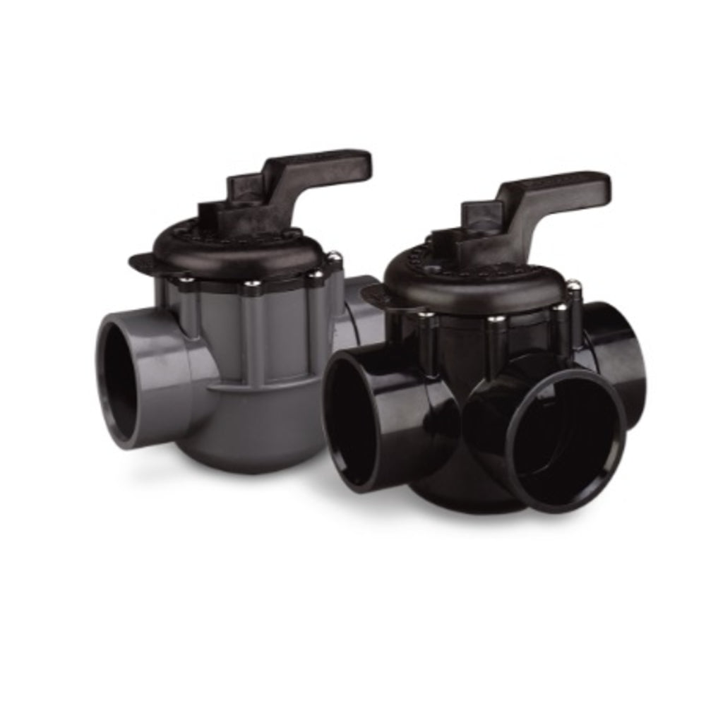 Pentair Valve Check Old Style | R172020