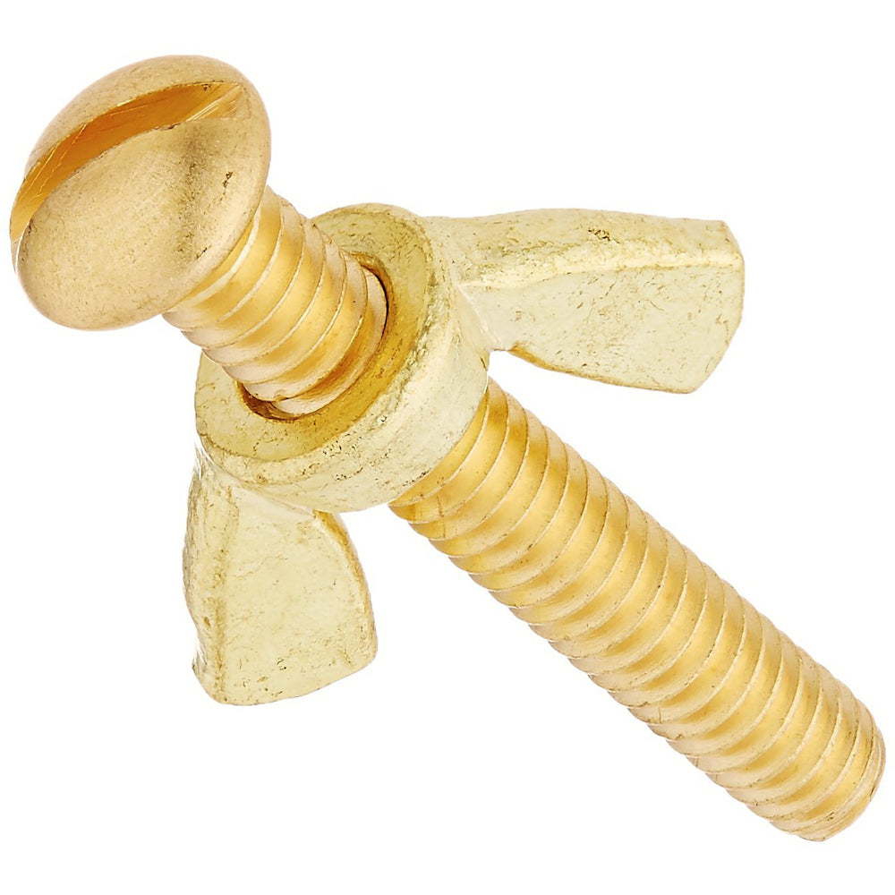 Pentair #155 Brass Wing Nut & Bolt | R221156