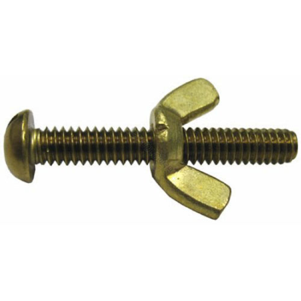 Pentair #155 Brass Wing Nut & Bolt | R221156 2