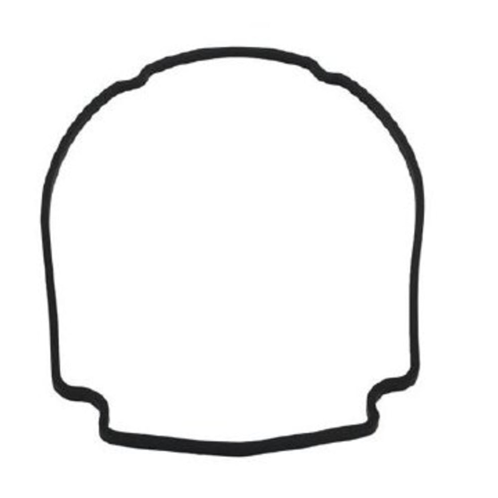 Waterway Pump Faceplate Gasket | 806-1400