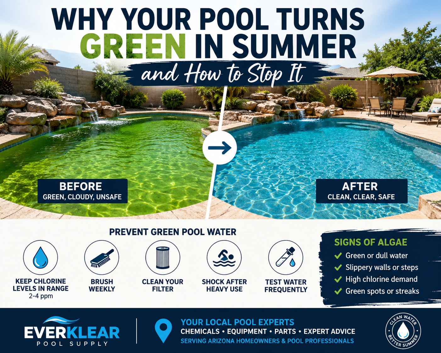 Why Your Pool Turns Green in Summer and How to Stop It