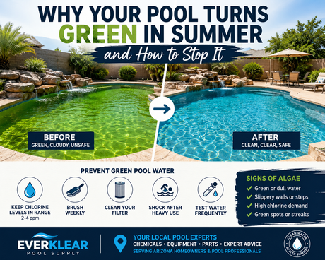 Why Your Pool Turns Green in Summer and How to Stop It