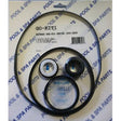 Aladdin GO-KIT1 For Hayward Max Flo Pump | AEQGOKIT1