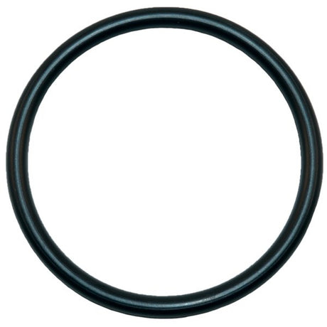 Aladdin O-Ring | O-125