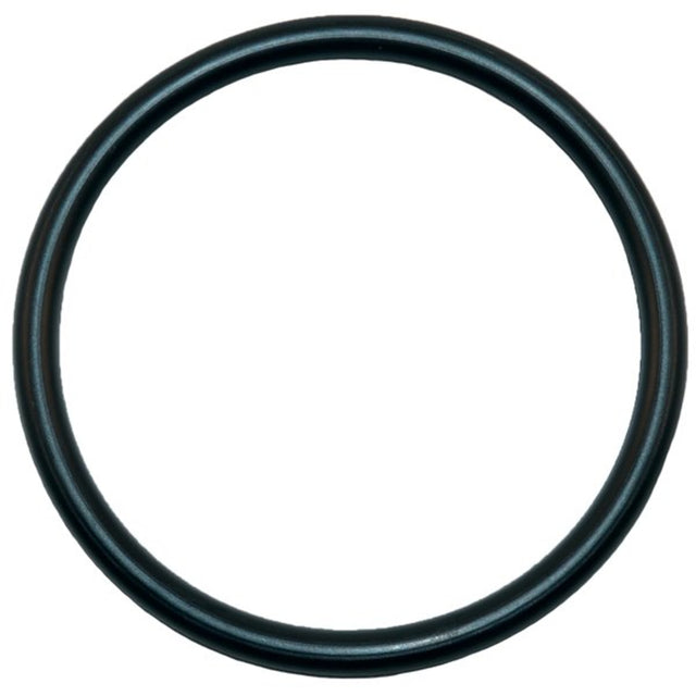Aladdin O-Ring | O-125