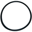 Aladdin Pump O-Ring | O-218