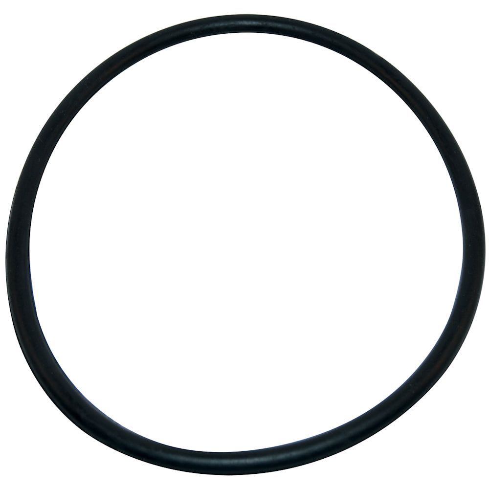 Aladdin Pump O-Ring | O-218