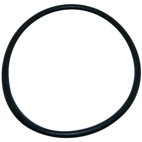 Aladdin Pump O-Ring | O-218