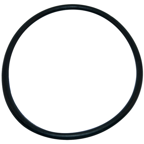 Aladdin Pump O-Ring | O-218