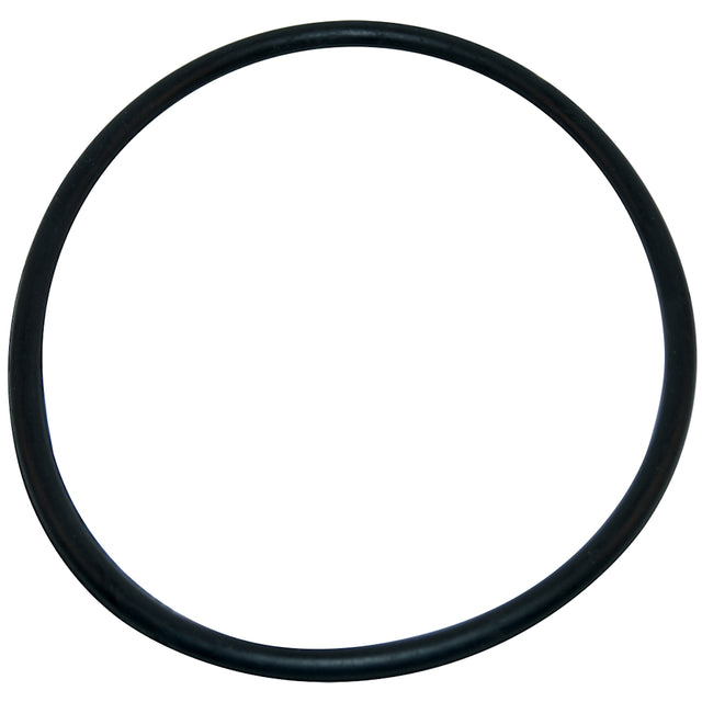 Aladdin Pump O-Ring | O-218