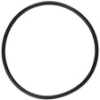 Aladdin O-Ring | O-231