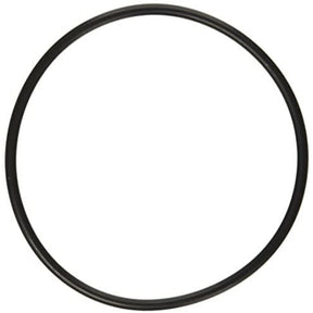 Aladdin O-Ring | O-231