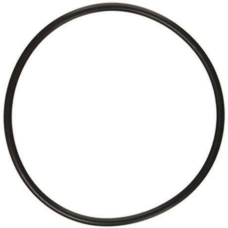 Aladdin O-Ring | O-231