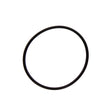 Aladdin Hayward DE Filter O-Ring | O-24