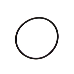 Aladdin Hayward DE Filter O-Ring | O-24