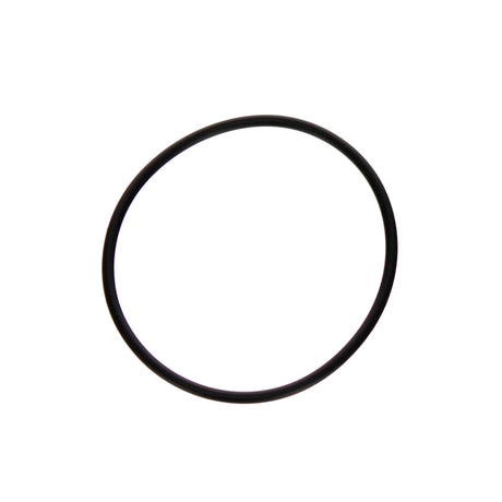 Aladdin Hayward DE Filter O-Ring | O-24