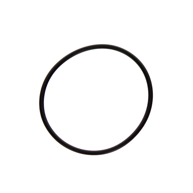 Aladdin Hayward DE Filter O-Ring | O-24