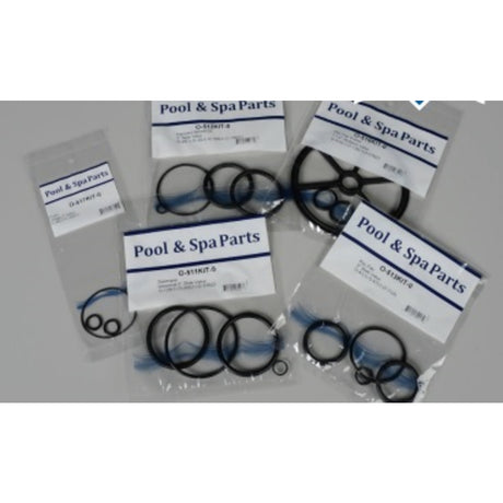 Aladdin Chlorinator Lid O-Ring | O-283V