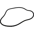 Aladdin Hayward Filter Tank O-Ring | O-429-2