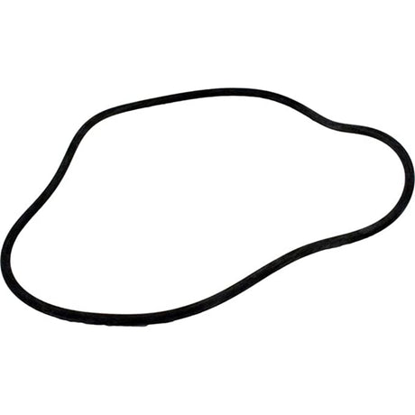 Aladdin Hayward Filter Tank O-Ring | O-429-2