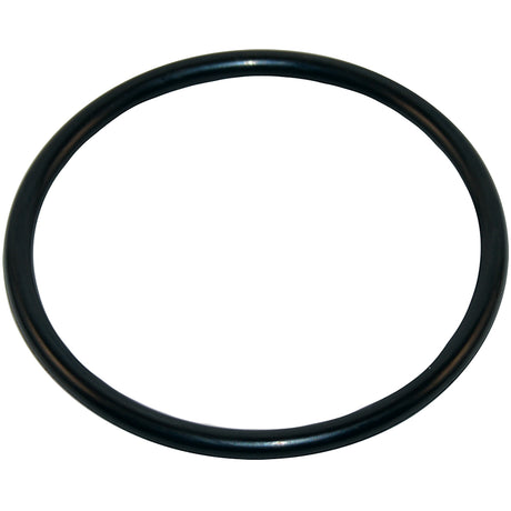 Aladdin Power Pump Diffuser O-Ring | O-49