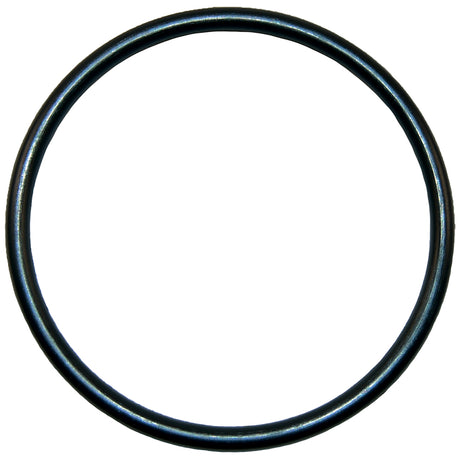 Aladdin O-Ring | O-64