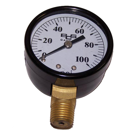American Granby Pressure Gauge 30 PSI 1/8 NPT w/ Plastic Case & Lens | IPG302-8L"