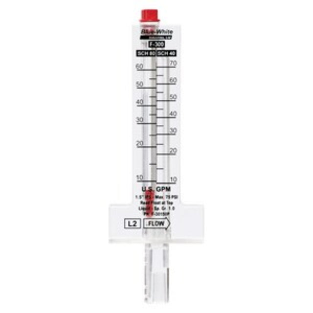 Flowmeter | F30800P