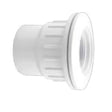  1-1/2" FIP