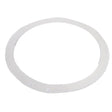 CMP Ig Vinyl Liner Light Ring Seal | 25549-000-011