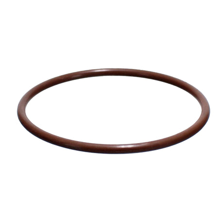 CMP PowerClean Ultra Chlorinator Cover O-Ring | 26101-060-530