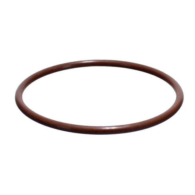 CMP PowerClean Ultra Chlorinator Cover O-Ring | 26101-060-530