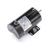 Century Pool Pump Motor 3/4HP 2-Speed 115V 48Y Frame | BN36 3