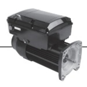 Century Pump Motor 1.5HP 1Ph 60Hz 208-230/115V 56J Frame | USN1152