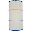 Filbur Filter Cartridge 60 sf Clean & Clear Plus 240 | FC-1975