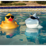 Gam Derby Duck Pool Chlorinator | 4002 5