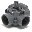 Jandy Pro Series 2 - 2 1/2" Positive  | 2875"