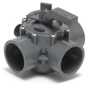 Jandy Pro Series 2 - 2 1/2" Positive  | 2875"