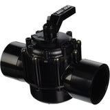 Jandy Pro Series NeverLube 2.5 to 3 Positive Seal 2-Port Valve | 4718" 3