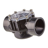 Jandy Pro Series 2 to 2-1/2 Swing Check Valve | 7305" 2