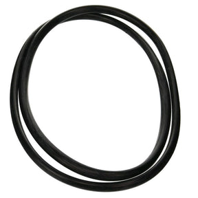 Jandy Pro Series Tank O-Ring | R0357800