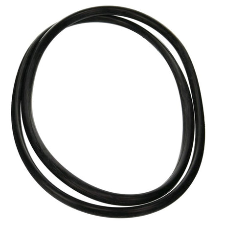 Jandy Pro Series Tank O-Ring | R0357800