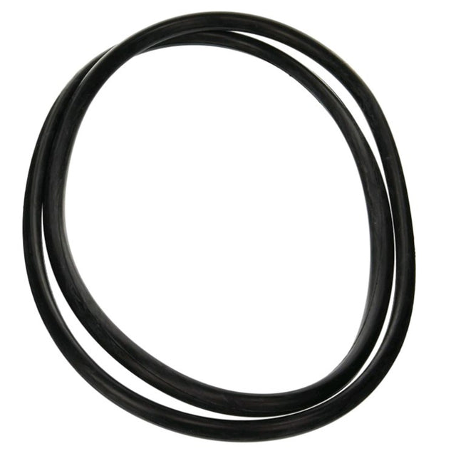 Jandy Pro Series Tank O-Ring | R0357800