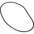Jandy Pro Series Backplate O-Ring | R0446300