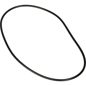 Jandy Pro Series Backplate O-Ring | R0446300
